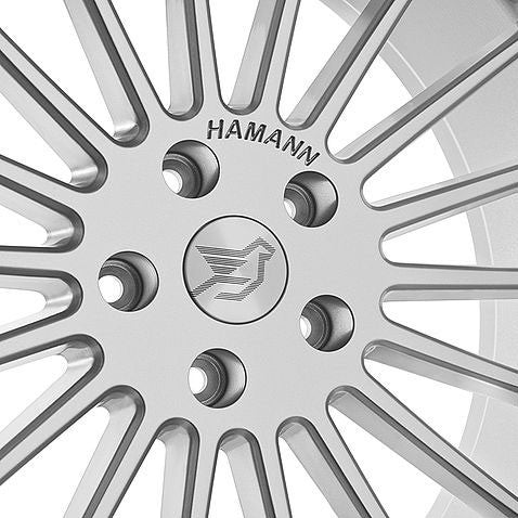 hamann anniversary evo silver detail 1