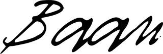 Baan Logo png copy