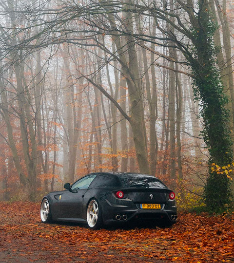 Ferrari FF Lowered novitec springs