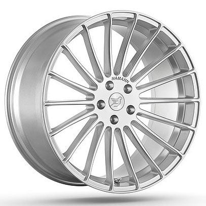 Hamann Anniversary EVO BMW X6 F16 22 inch silver
