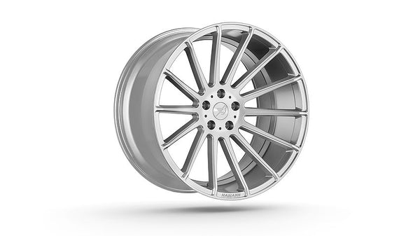 Hamann EVO 2 BMW X6M F86 22 inch wheels Hyper silver