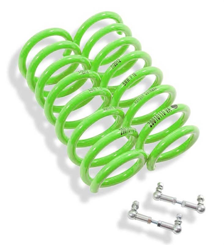 Hamann lowering springs | BMW X6M F86